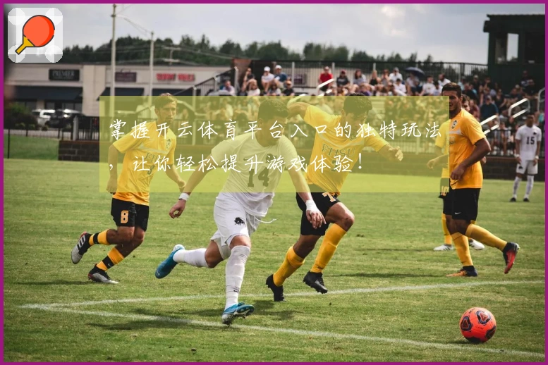 掌握开云体育平台入口的独特玩法，让你轻松提升游戏体验！