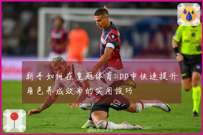 新手如何在皇冠体育app中快速提升角色养成效率的实用技巧